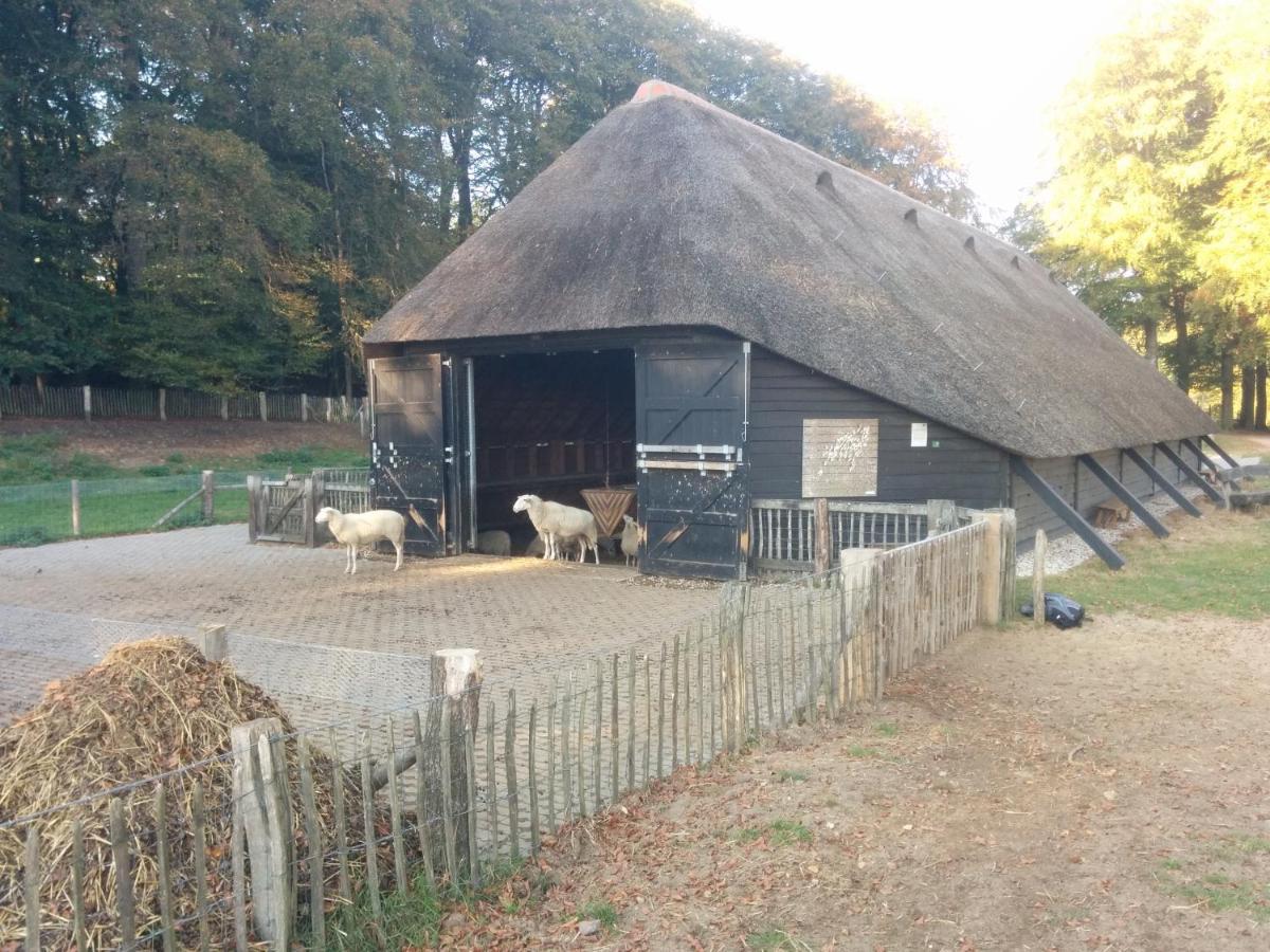 Chalet Hoenderloo Den Bagian luar foto